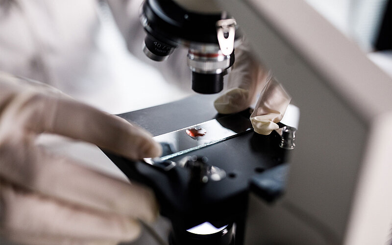 Blut unter dem Mikroskop